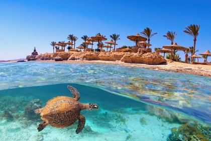 BILETY LOTNICZE! PROMOCJA! Egipt, Kluż-Napoka - Sharm el Sheikh 27.08.2025 481 zł
