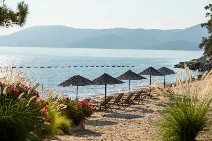 BILETY LOTNICZE! PROMOCJA! Turcja, Katowice - Bodrum - Katowice 09.09.2026-16.09.2026 459 zł