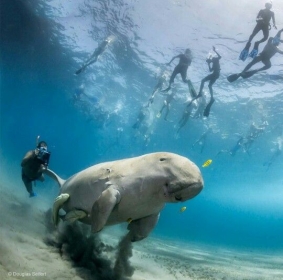 BILETY LOTNICZE! PROMOCJA! Egipt, Warszawa - Marsa Alam - Warszawa 06.12.2025-13.12.2025 2350 zł