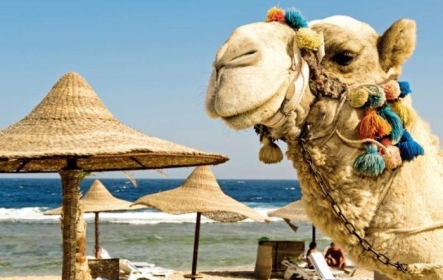 AIR TICKETS PROMOTION! Egypt, Katowice - Sharm El Sheikh 13.12.2025 766 zł