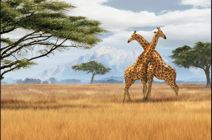 BILETY LOTNICZE! PROMOCJA! Tanzania, Katowice - Zanzibar - Katowice 09.11.2025-16.11.2025 3642 zł