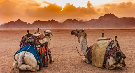 AIR TICKETS PROMOTION! Egypt, Warsaw - Sharm El Sheikh 03.01.2026 457 zł