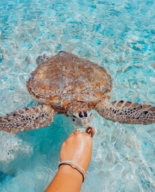 BILETY LOTNICZE! PROMOCJA! Dominikana, Warszawa - Punta Cana - Warszawa 08.11.2025-15.11.2025 6217 zł