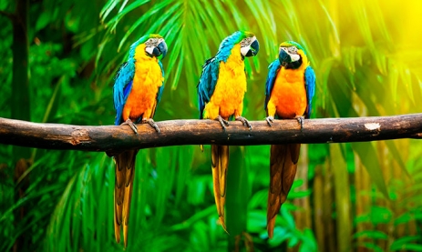 BILETY LOTNICZE! PROMOCJA! Dominikana, Warszawa - Punta Cana - Warszawa 27.12.2025-10.01.2026 7023 zł