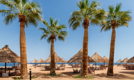 BILETY LOTNICZE! PROMOCJA! Egipt, Katowice - Sharm el Sheikh - Katowice 12.08.2025-26.08.2025 799 zł