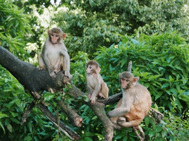 BILETY LOTNICZE! PROMOCJA! Tajlandia, Katowice - Phuket - Katowice 23.01.2026-07.02.2026 4113 zł