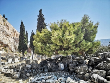 BILETY LOTNICZE! PROMOCJA! Grecja, Katowice - Samos - Katowice 11.07.2026-18.07.2026 1865 zł